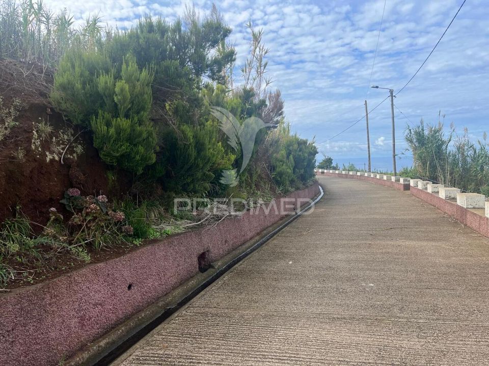 Helårsgrund i Calheta, Madeira - foto 3