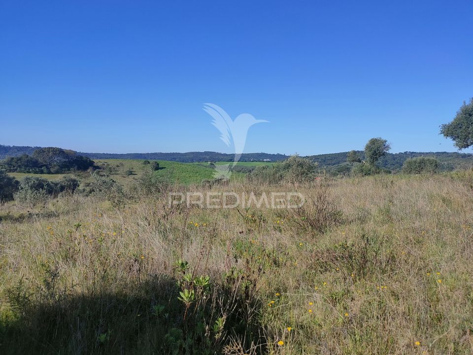 Helårsgrund i Alcanena, Santarem - foto 2
