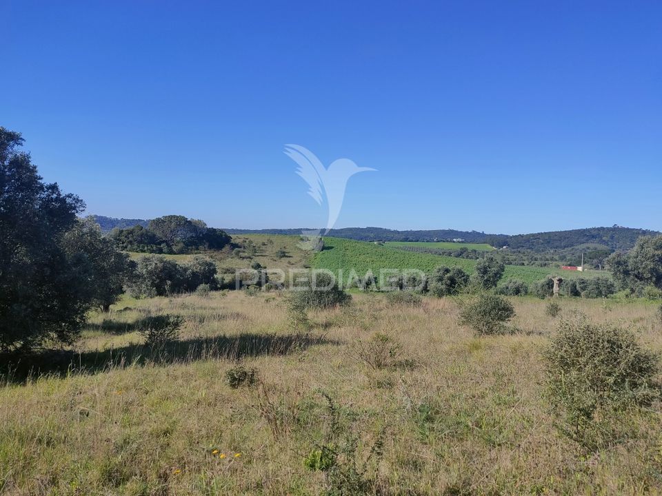 Helårsgrund i Alcanena, Santarem - foto 4