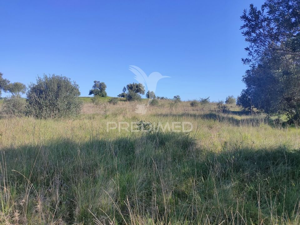 Helårsgrund i Alcanena, Santarem - foto 5