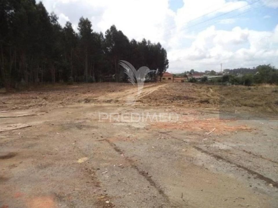 Helårsgrund i Estarreja, Aveiro - foto 5