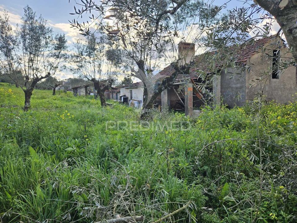 Byhus i Ferreira do Zezere, Santarem - foto 4