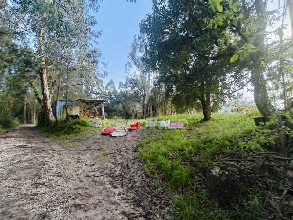 Helårsgrund i Ourem, Santarem - foto 5
