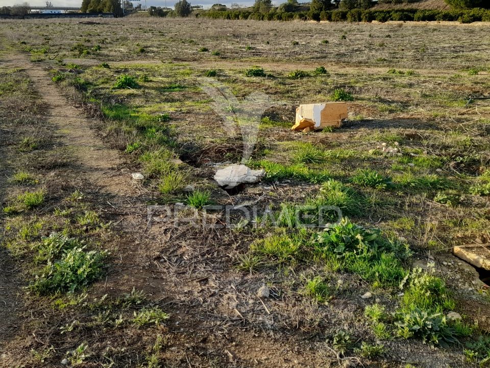 Helårsgrund i Faro, Faro - foto 2