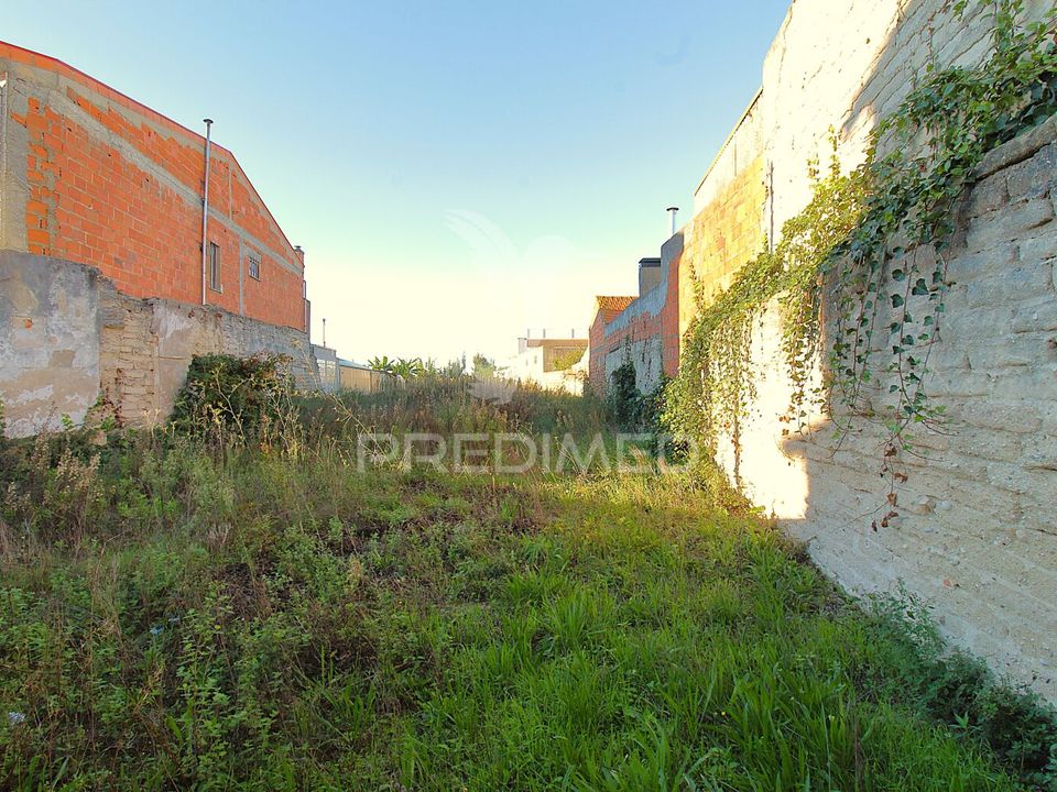Helårsgrund i Vagos, Aveiro - foto 2