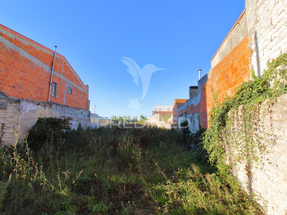 Helårsgrund i Vagos, Aveiro - foto 3