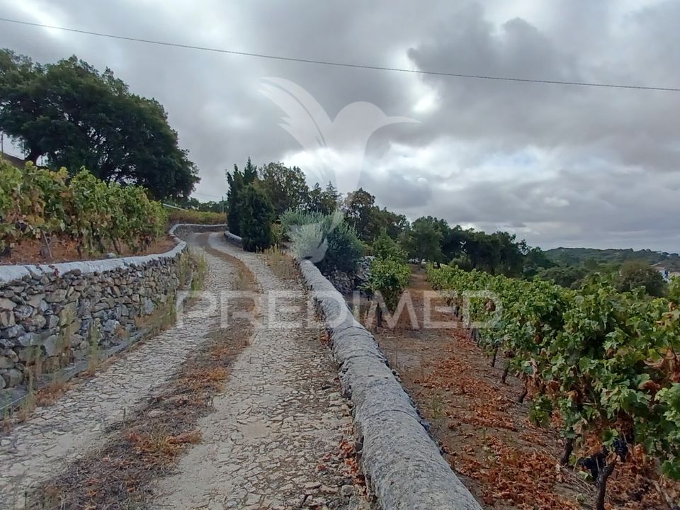 Gårdshus i Portalegre, Portalegre - bilde 4
