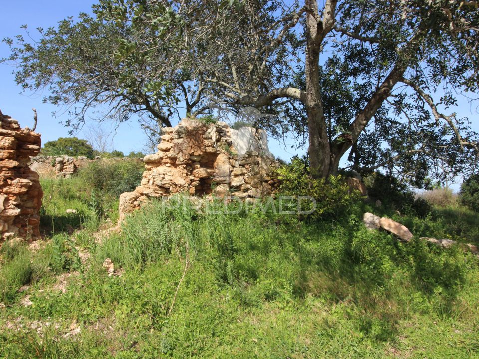Helårsgrund i Silves, Faro - foto 2