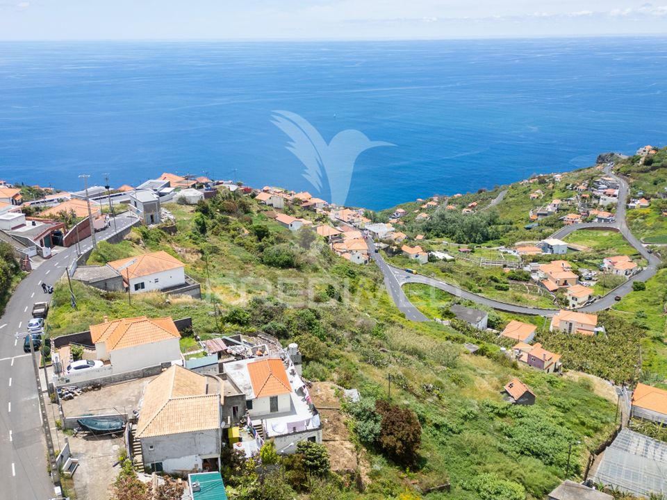 Helårsgrund i Ribeira Brava, Madeira - foto 4