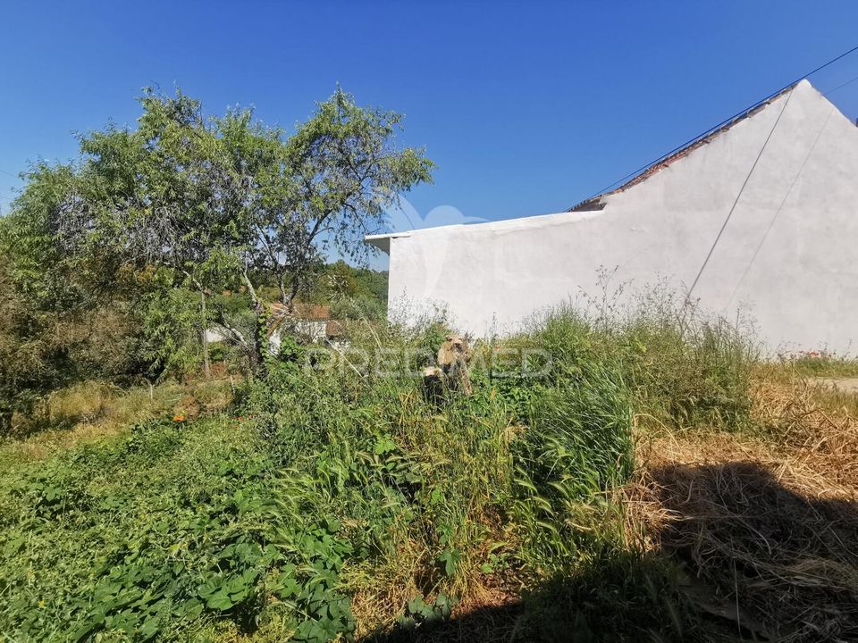 Helårsgrund i Torres Novas, Santarem - foto 4