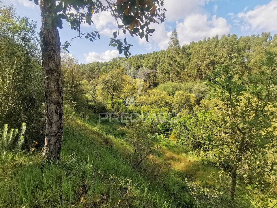 Helårsgrund i Vila Nova da Barquinha, Santarem - foto 3