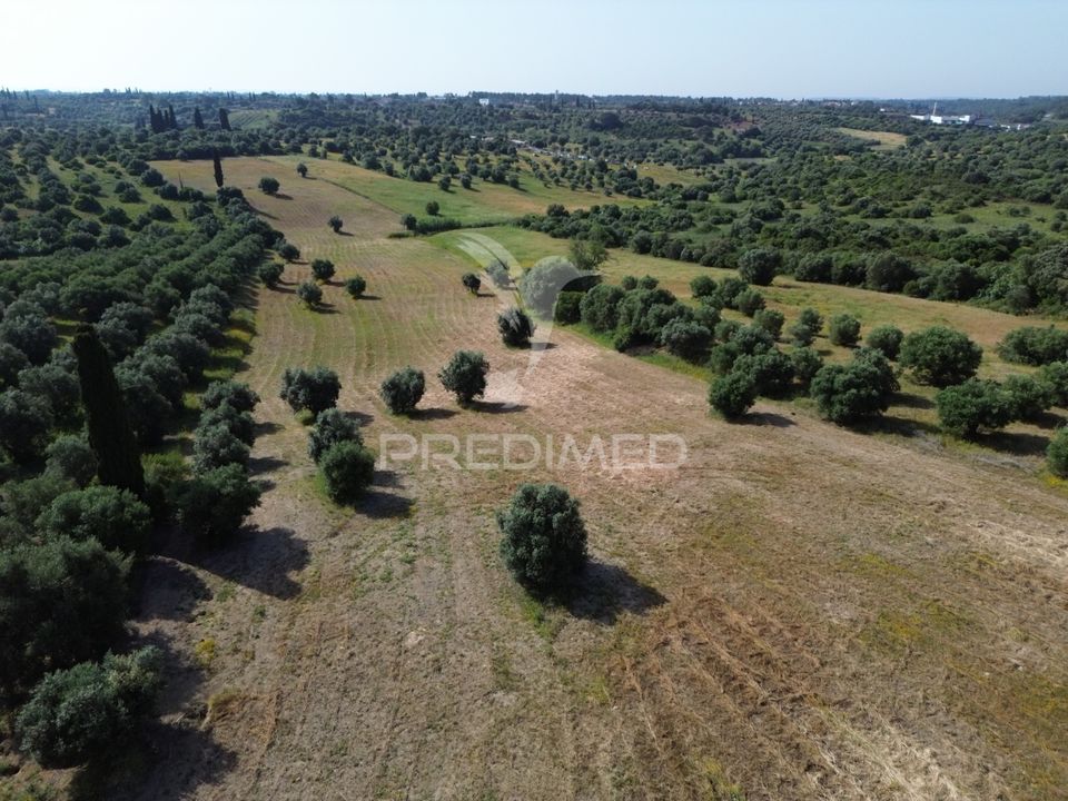 Helårsgrund i Torres Novas, Santarem - foto 1