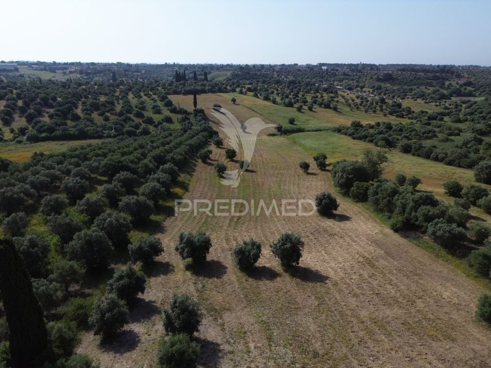 Helårsgrund i Torres Novas, Santarem - foto 2