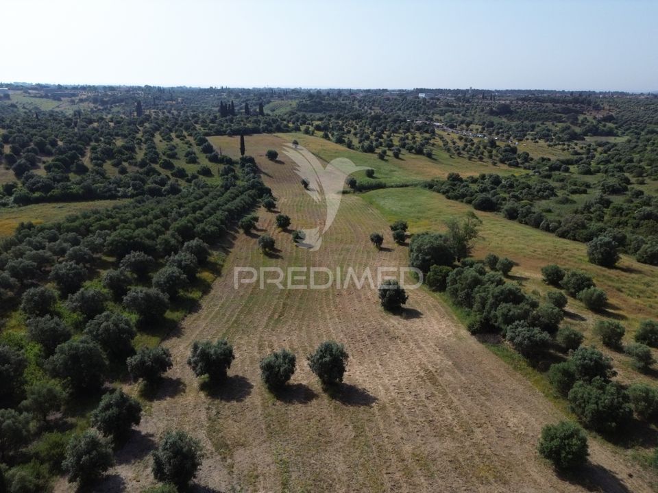Helårsgrund i Torres Novas, Santarem - foto 3