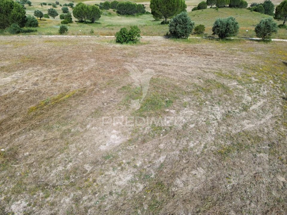 Helårsgrund i Torres Novas, Santarem - foto 4