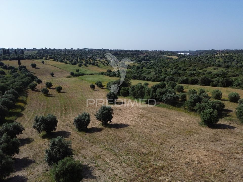Helårsgrund i Torres Novas, Santarem - foto 5