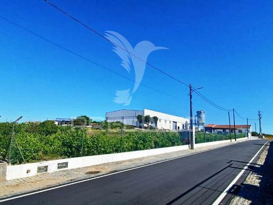 Erhvervsejendom i Portalegre, Portalegre - foto 1