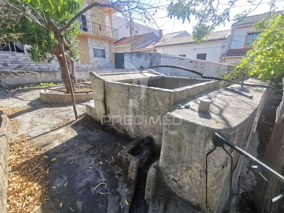Byhus i Golega, Santarem - foto 4