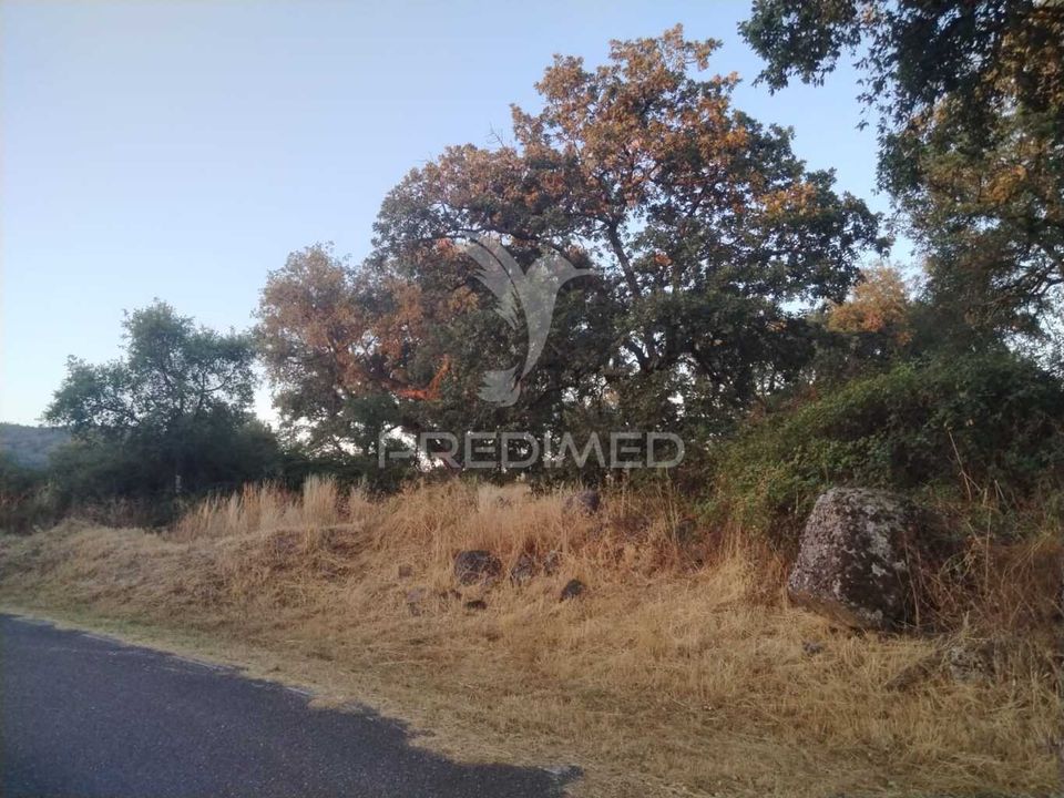 Tomt i Castelo de Vide, Portalegre - bilde 3