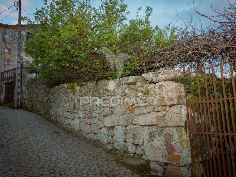 Ruin i Tabuaco, Viseu - bilde 5