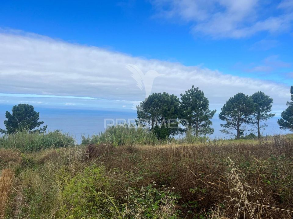 Byhus i Calheta, Madeira - foto 2