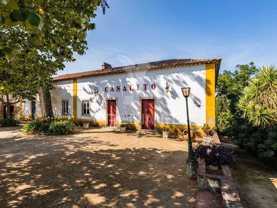 Farm hus i Torres Novas, Santarem - foto 3