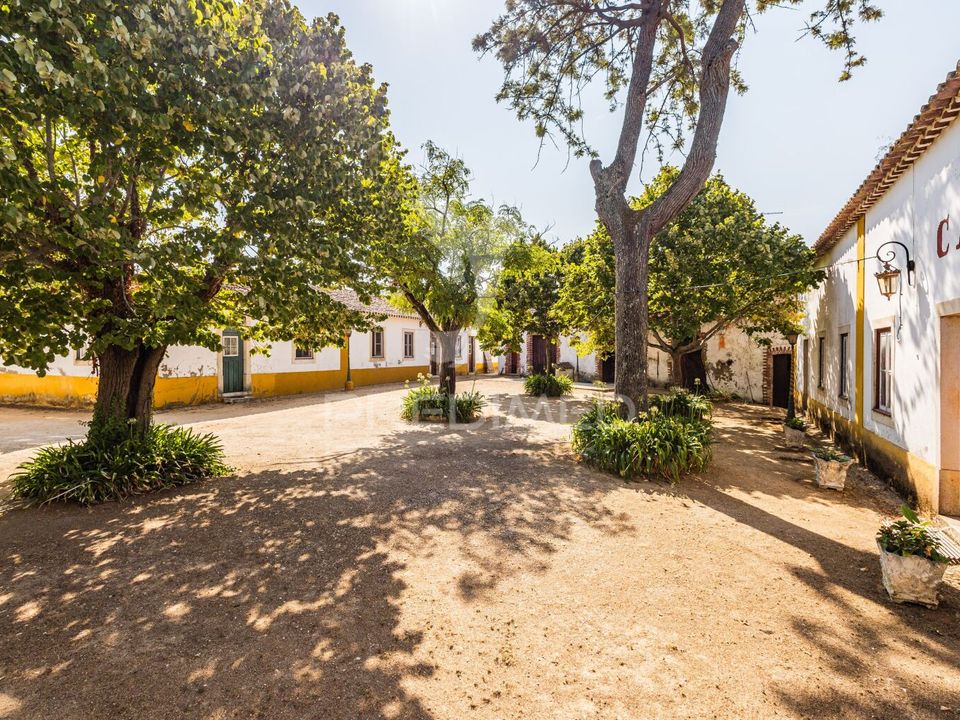 Farm hus i Torres Novas, Santarem - foto 4