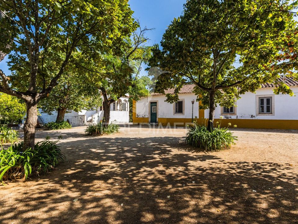 Farm hus i Torres Novas, Santarem - foto 5