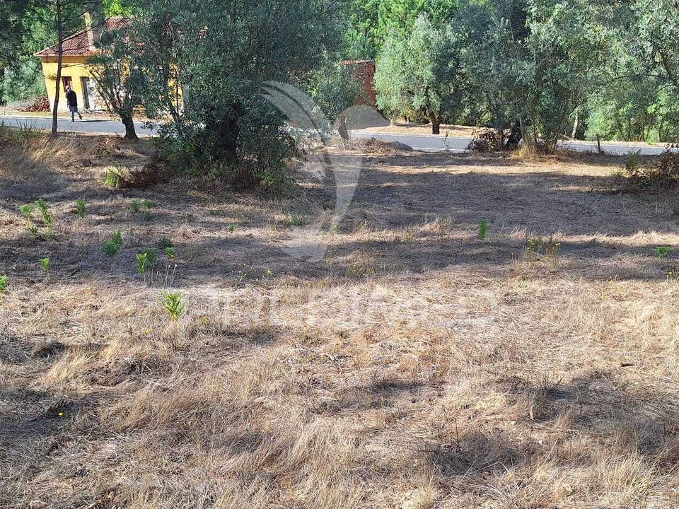 Helårsgrund i Ourem, Santarem - foto 1