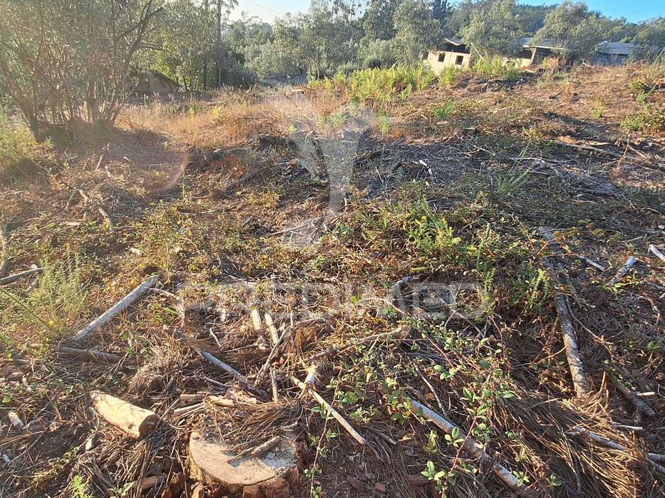 Helårsgrund i Ourem, Santarem - foto 2