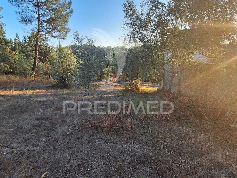 Helårsgrund i Ourem, Santarem - foto 3