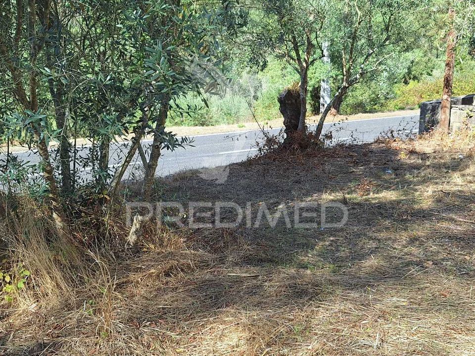 Helårsgrund i Ourem, Santarem - foto 5