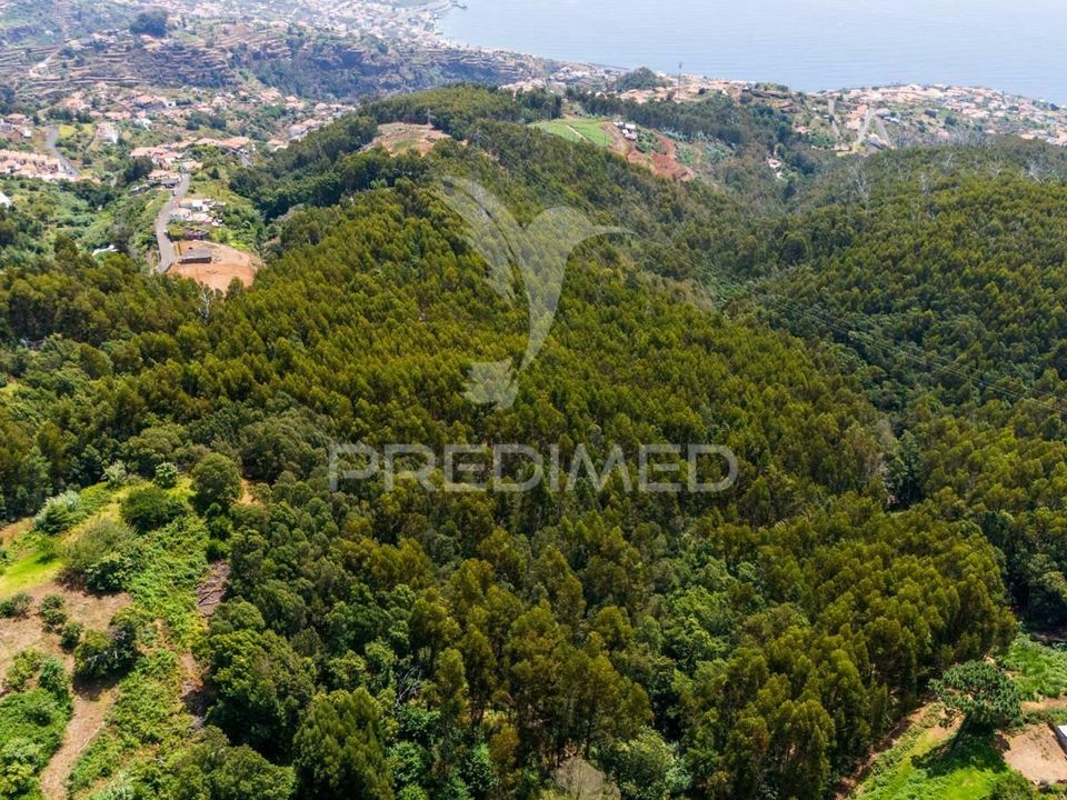 Helårsgrund i Santa Cruz, Madeira - foto 2