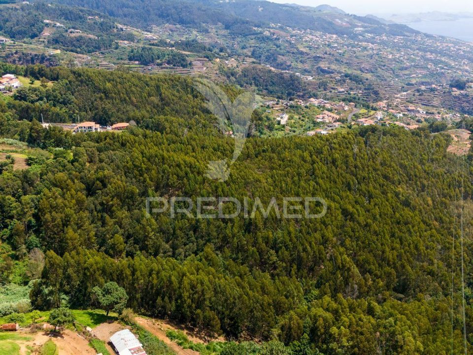 Helårsgrund i Santa Cruz, Madeira - foto 4