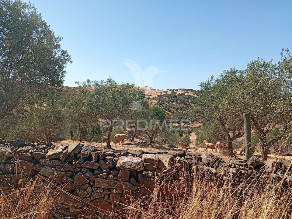 Helårsgrund i Vila Vicosa, Evora - foto 1