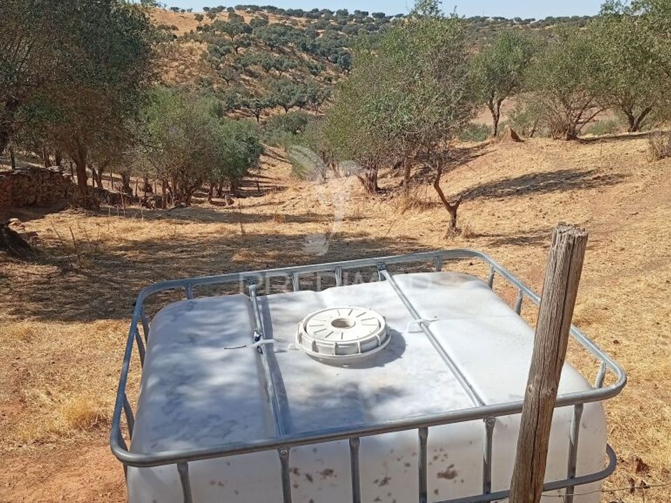 Helårsgrund i Vila Vicosa, Evora - foto 2