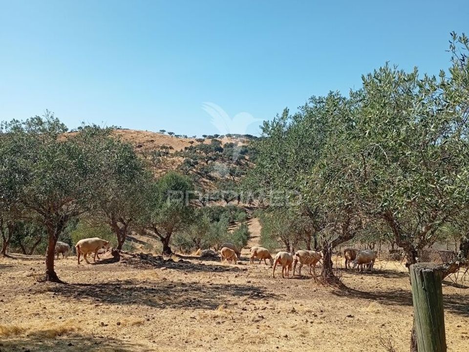 Helårsgrund i Vila Vicosa, Evora - foto 3