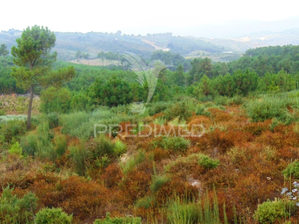 Helårsgrund i Vila Real, Vila Real - foto 5