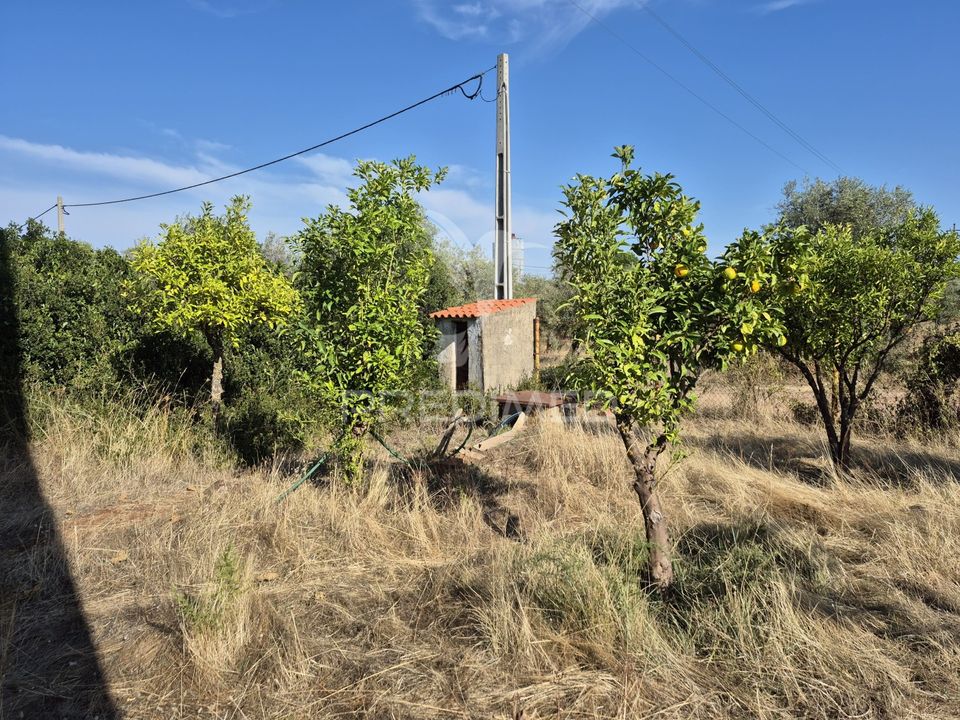 Tomt i Vila Vicosa, Evora - bilde 2