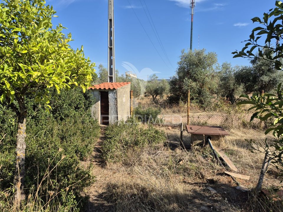 Tomt i Vila Vicosa, Evora - bilde 3