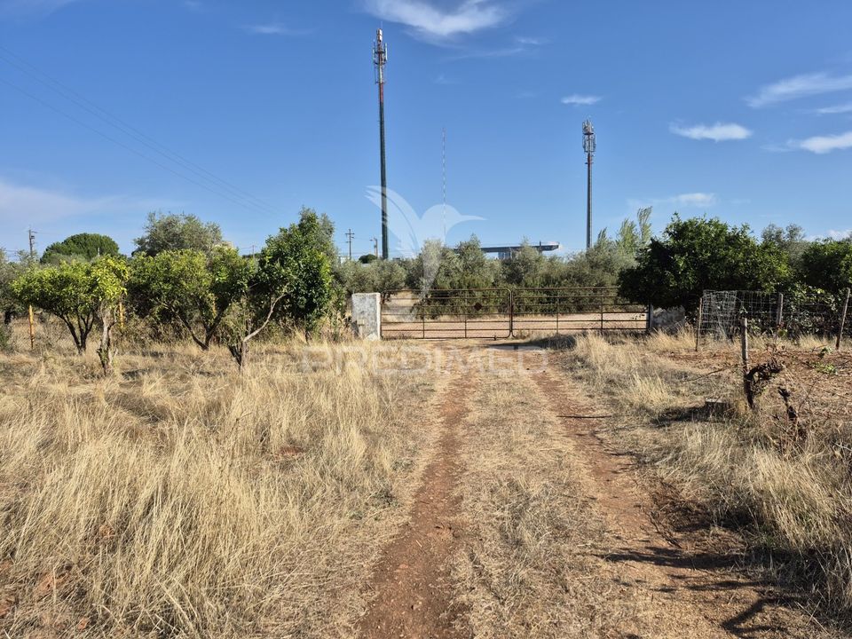 Tomt i Vila Vicosa, Evora - bilde 4