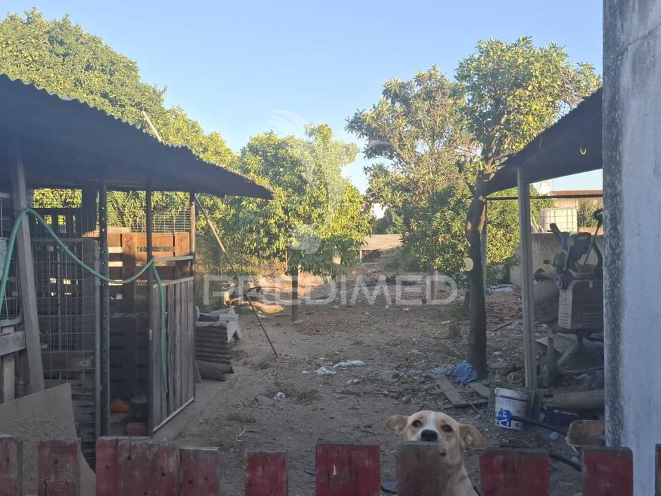 Byhus i Alpiarca, Santarem - foto 1
