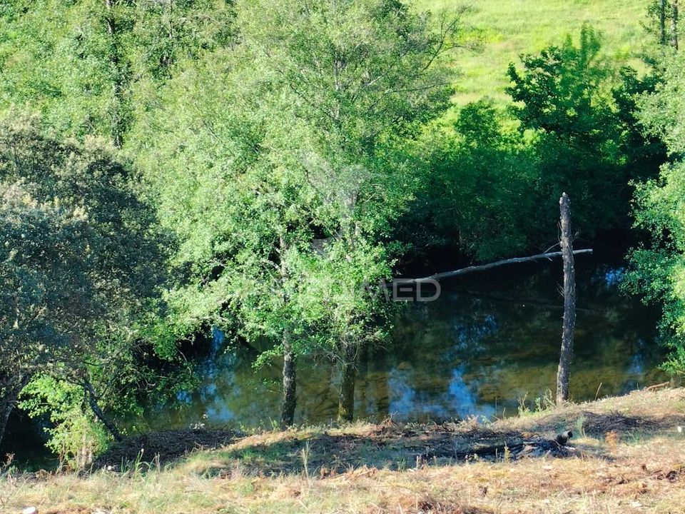 Tomt i Braganca, Braganca - bilde 2