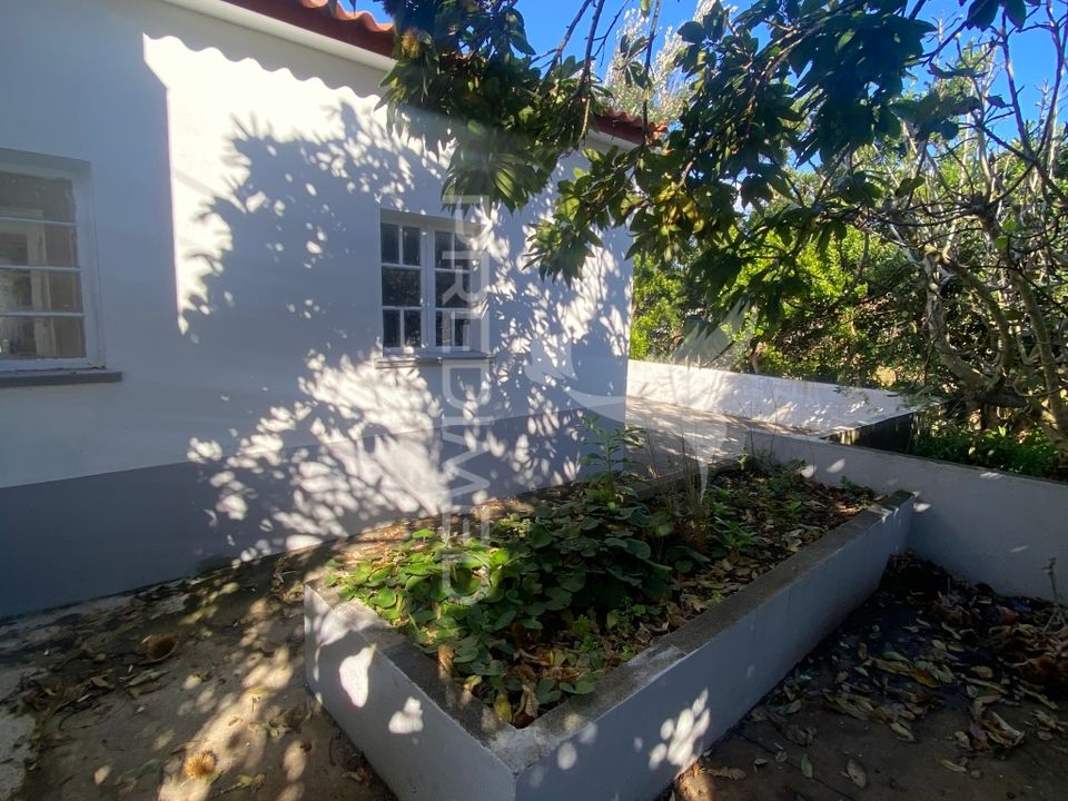 Stadthaus in Calheta, Sao Jorge - Foto 5