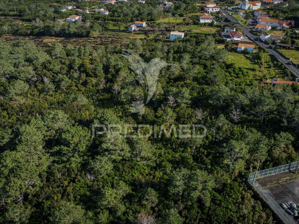Helårsgrund i Sao Roque do Pico, Pico - foto 4