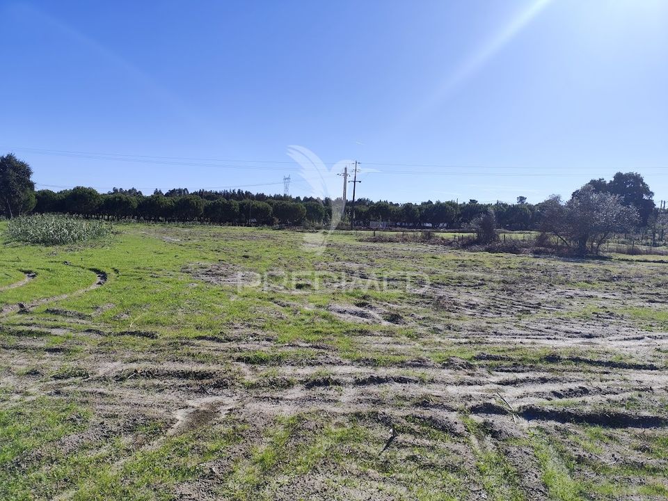 Land in Grandola, Setubal - photo 1