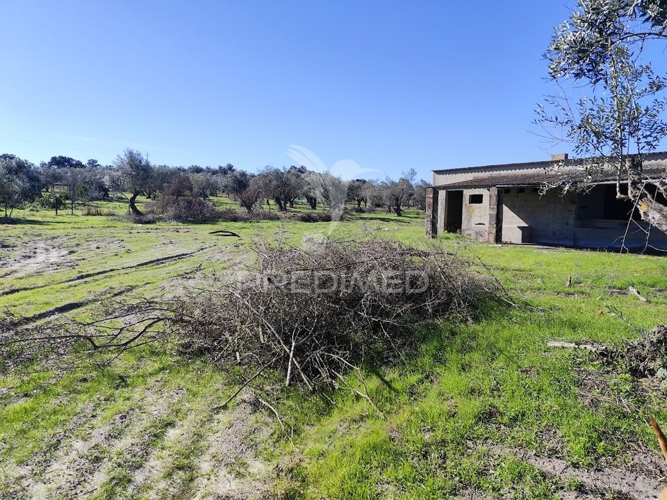 Land in Grandola, Setubal - photo 2