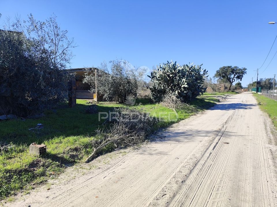 Land in Grandola, Setubal - photo 5