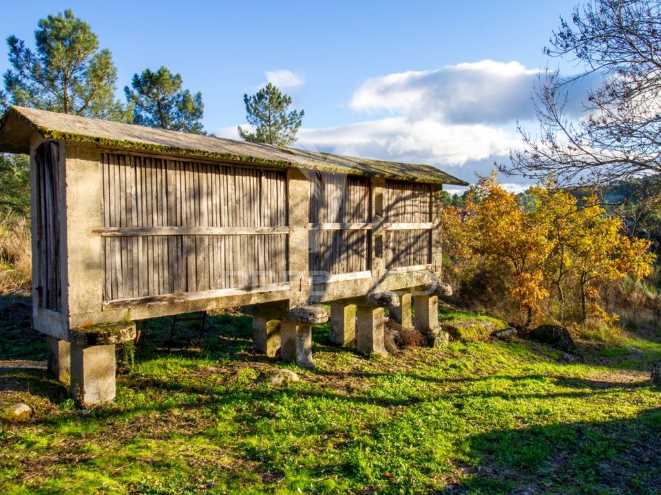 Farm hus i Vila Real, Vila Real - foto 4