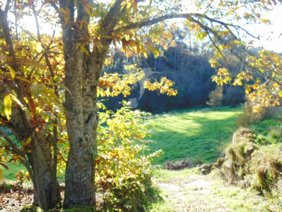 Farm hus i Vila Real, Vila Real - foto 5